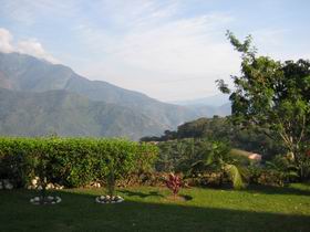 Впервые в России — кофе из Боливии!