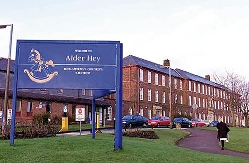 Станет ли человечество «насекомоядным»?..