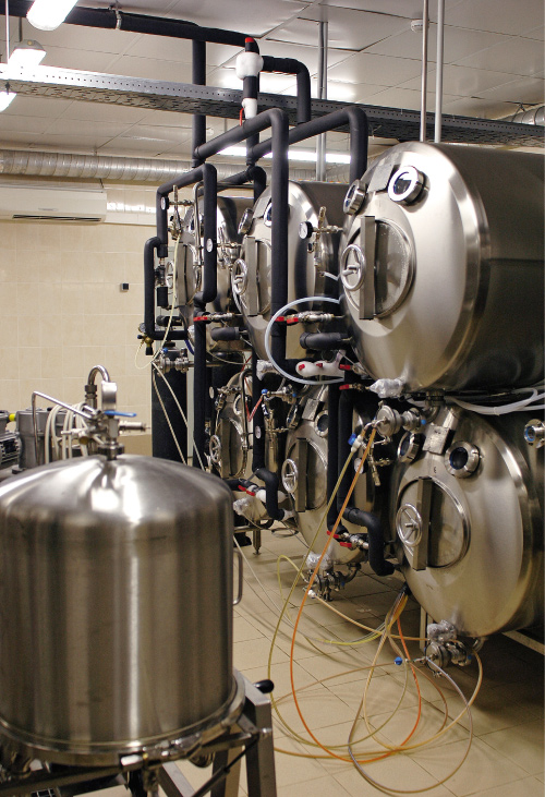 Мини-пивоварня: строить или обойдемся?..