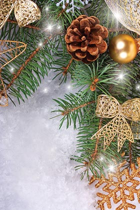 Новый год. Праздничное меню ресторана