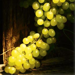 Вальдарно Супериоре – сердцевина «матрёшки» Кьянти