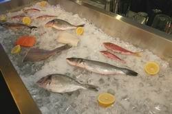 Рыбный ресторан в центре Санкт-Петербурга