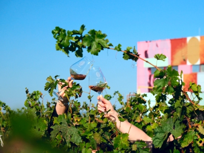 Виноиндустрия 2024: просвещение и знакомство с российскими винами