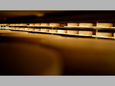 «ЭкоНива»: почему важно производить молочные продукты для сферы HoReCa по принципу «от поля до прилавка»