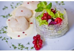 Морские гребешки, сервируемые кресс-салатом и ростками пшеницы в сахарной корзиночке с малиновой заправкой
