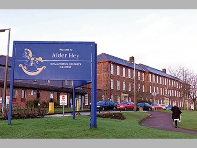 Станет ли человечество «насекомоядным»?..