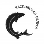 Каспийская белуга