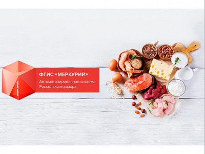 Общепит ждет роста цен и дефицита продуктов после запуска «Меркурия»