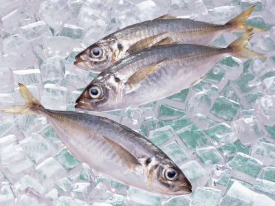 Рекомендации Роскачества по выбору рыбы