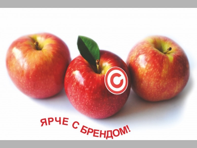 Как взять бренд в аренду и повысить продажи?