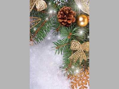 Новый год. Праздничное меню ресторана