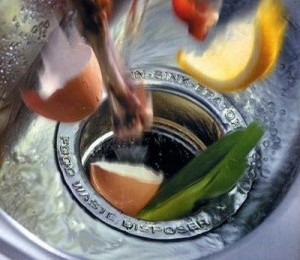 Шеф-повара всего мира заинтересованы в снижении количества отходов