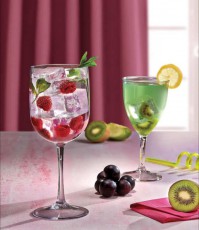 Поликарбонат Gastroplast