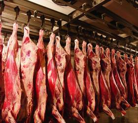 Новости и события