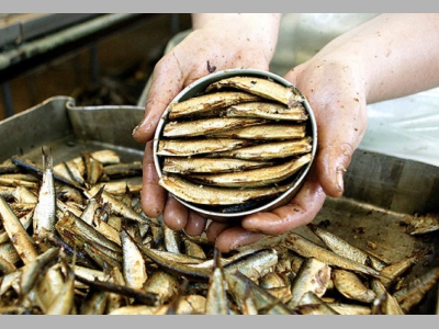 Прибалтийские шпроты вернутся на российский рынок