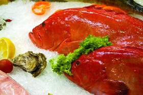 Рыба без границ