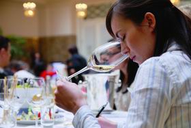 Молодость и традиции итальянского виноделия