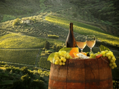 Пятая Всемирная конференция по винному туризму в Португалии