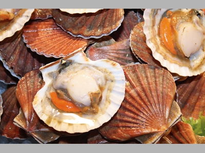 По числу кафе на количество жителей Пермь обогнала Москву