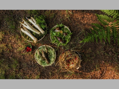 Благотворительная акция от Delivery Club и Всемирного фонда дикой природы (WWF)