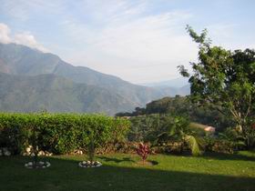 Впервые в России — кофе из Боливии!