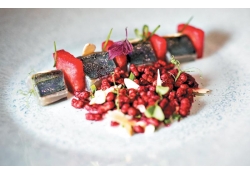 Макрель с арбузом, хрустящим свекольным «ризотто» и сыром чечил