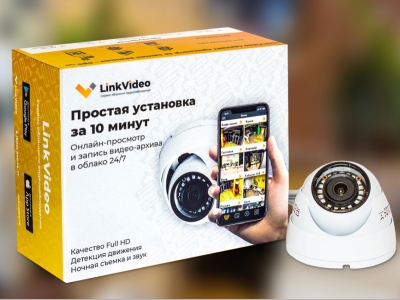 Как ресторатору защитить свой бизнес? Удаленный видеоконтроль от LinkVideo