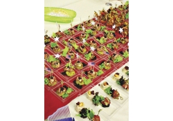 Блюда для банкетной подачи