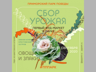 Фуд-маркет  «Сбор Урожая.Овощи и злаки» в Приморском Парке Победы