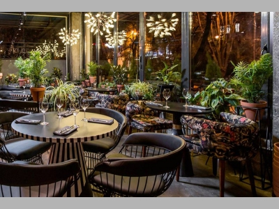 Дмитрий Левицкий запустил новый проект в Сочи