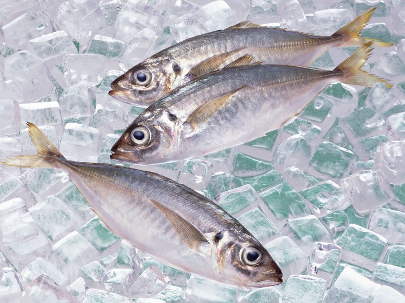 Рекомендации Роскачества по выбору рыбы