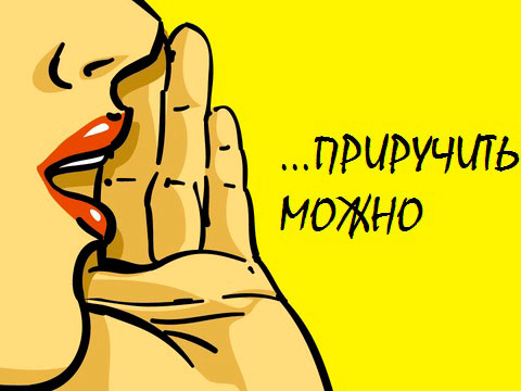 Сарафанное радио — за счет чего формируется и как поддерживать