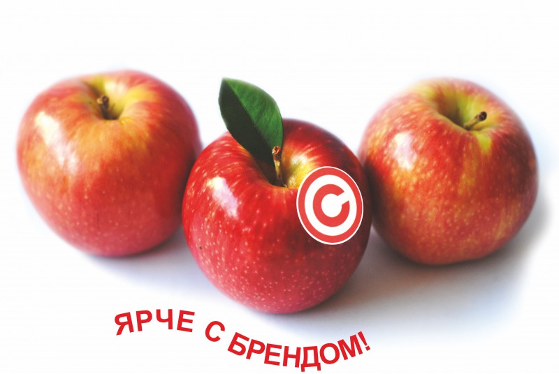 Как взять бренд в аренду и повысить продажи?