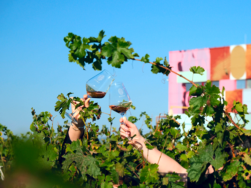 Виноиндустрия 2024: просвещение и знакомство с российскими винами