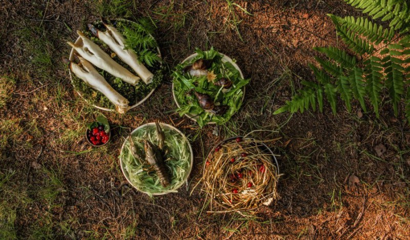 Благотворительная акция от Delivery Club и Всемирного фонда дикой природы (WWF)