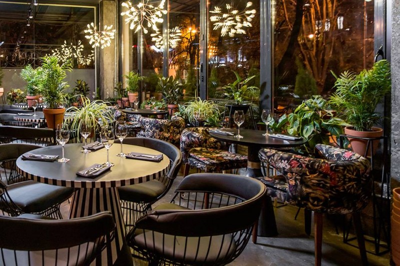 Дмитрий Левицкий запустил новый проект в Сочи