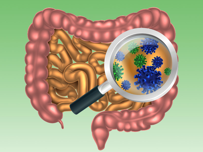 Петербург: закрытие ресторанов улучшило статистику по кишечным инфекциям