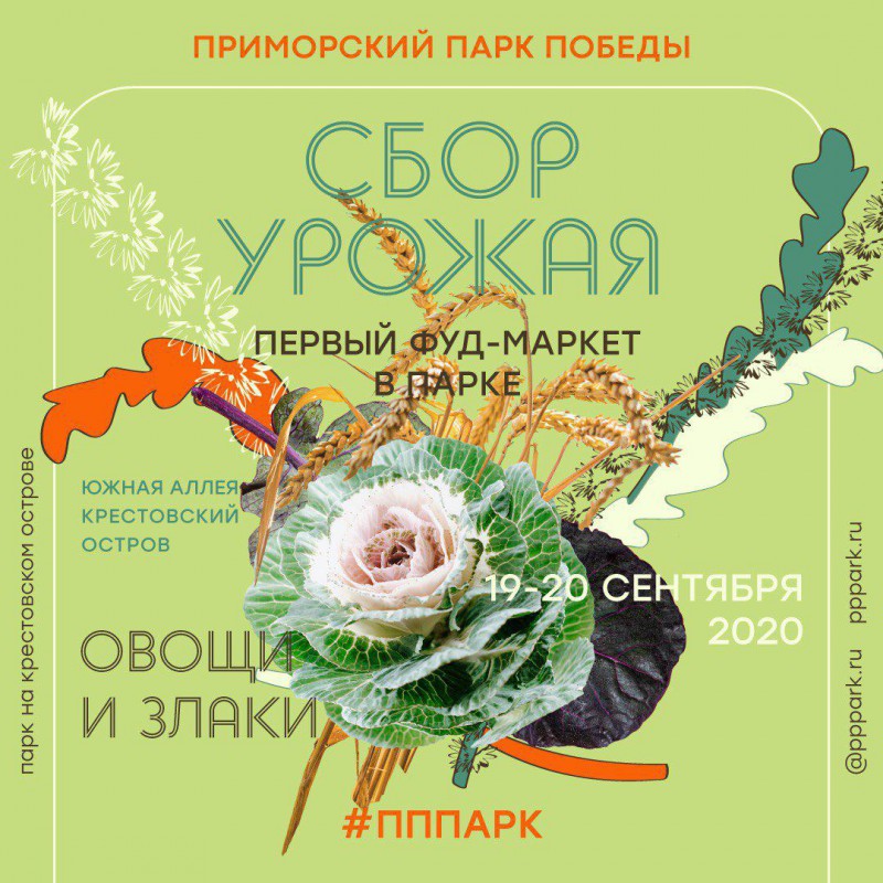 Фуд-маркет  «Сбор Урожая.Овощи и злаки» в Приморском Парке Победы