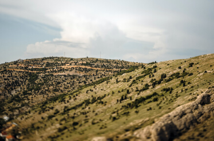 Открыта регистрация на Всероссийский туристический онлайн-форум «Россия: Туризм 2020»