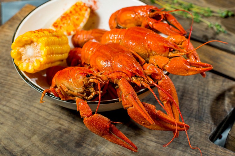 Московская сеть «Раковая» пришла в Петербург