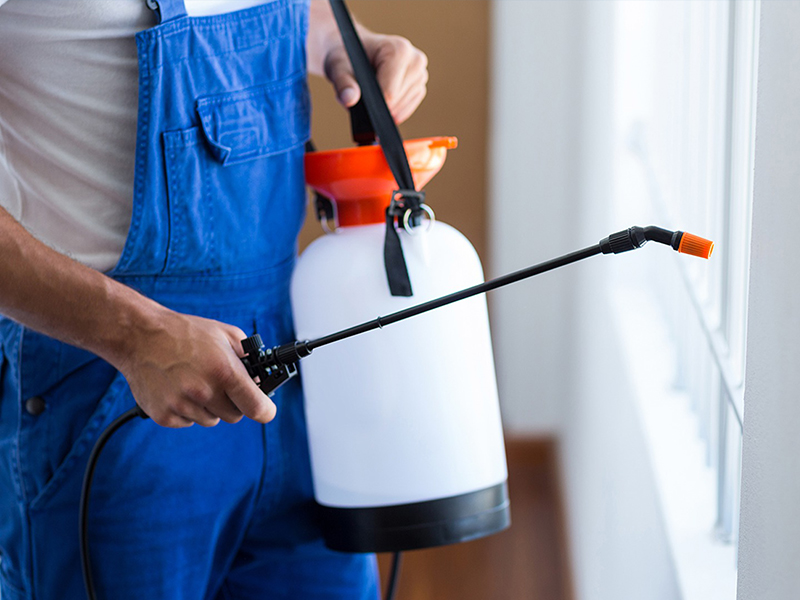 Субсидии на маски и санобработку