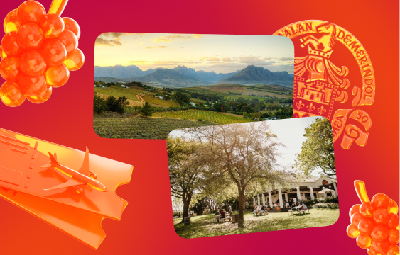 «Много лосося» и SimpleWine разыгрывают путешествие на винодельню в ЮАР