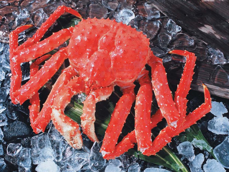 Говоря о локальной кухне, мы говорим в первую очередь о локальных продуктах