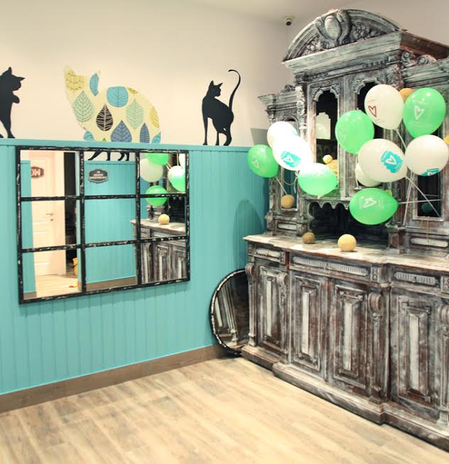 Отличительной особенностью этого заведения станет «мяукающий» интерьер и вязаные элементы декора